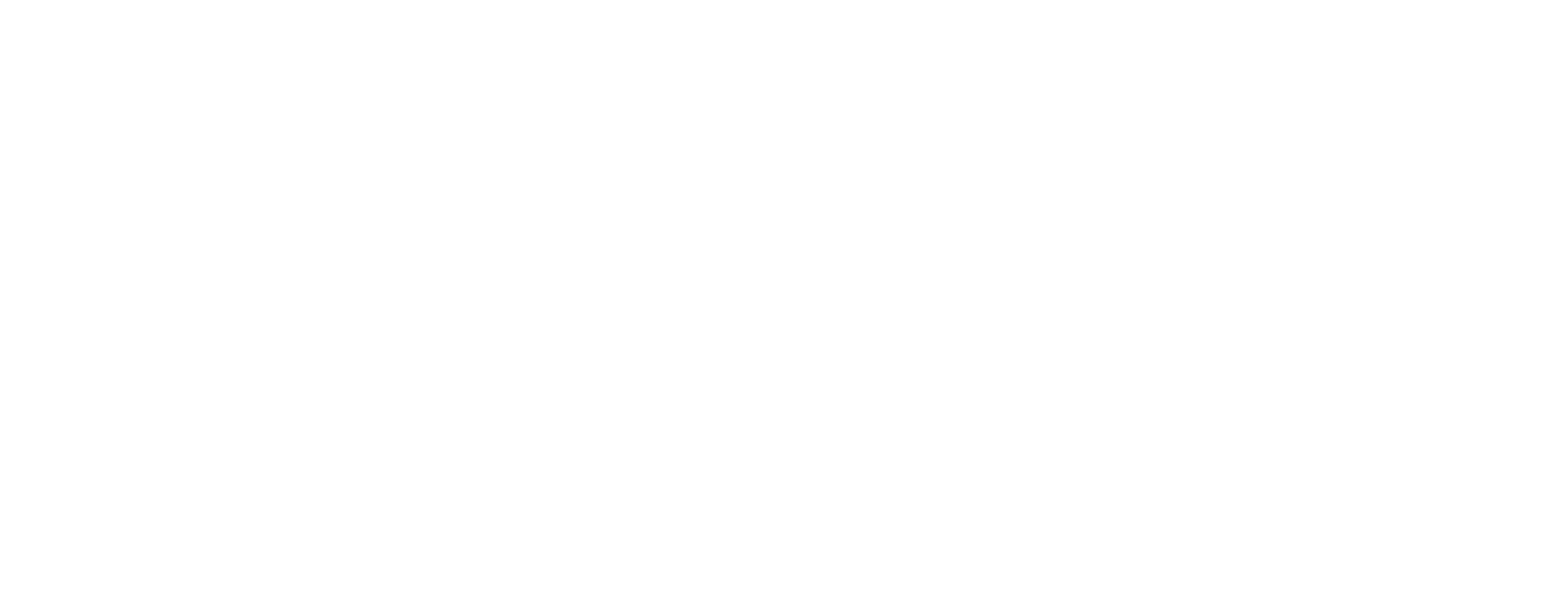 logo-thurni